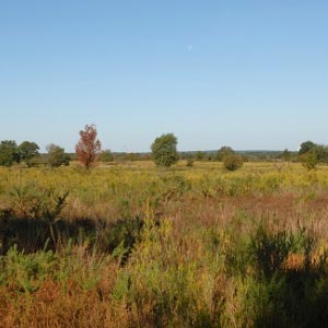 Landes de Ste-Marie - photo CEN PC